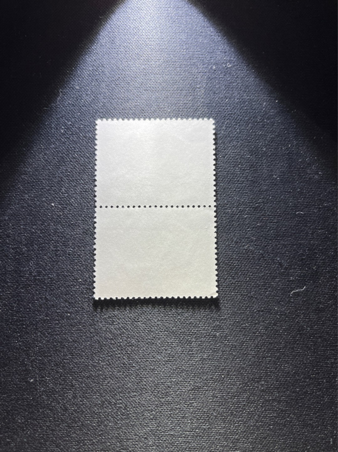 洪涛臻品 精选邮票限时拍卖第五十八期 文17  10分  2连一组，版撕票，一枚全品，一枚角软折上品，喜欢不要错过！《ASG评级处于初级阶段，注意建仓便宜的版撕货，未来市场前景不可估量！！！！》