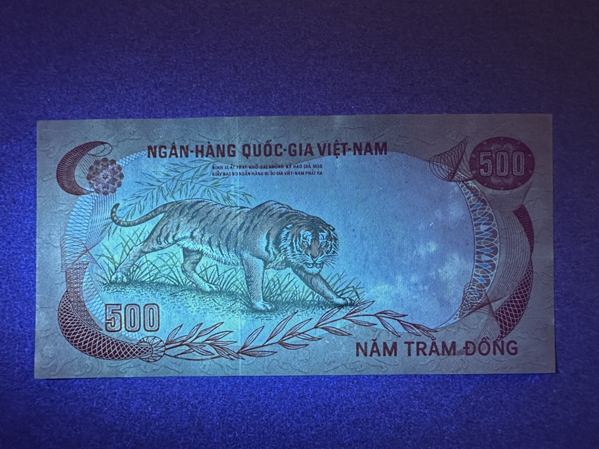 《张总收藏》77期——欧洲精品&女王钞 越南500盾 UNC- 1972年老虎 有荧光