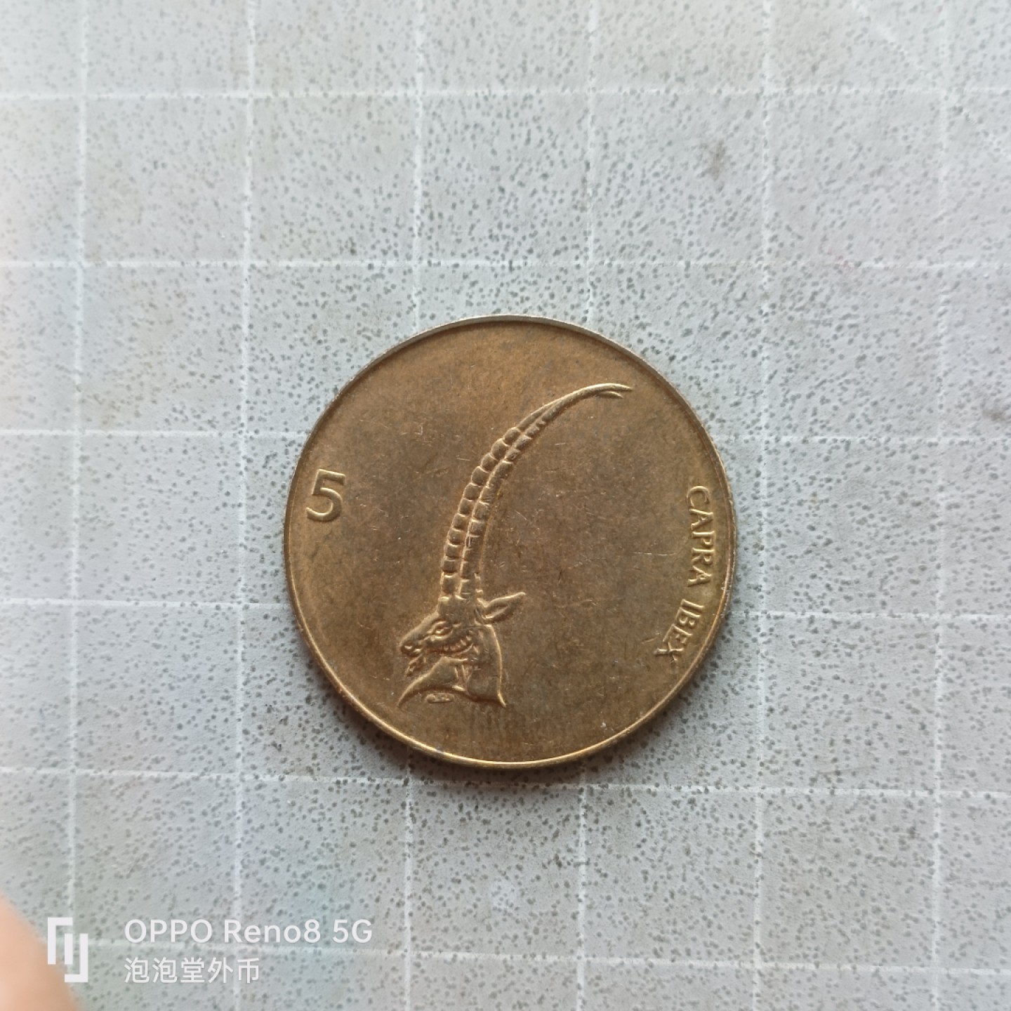 泡泡堂微拍第七幕，零佣金，零押金，满二十元包邮 斯洛文尼亚5拖拉