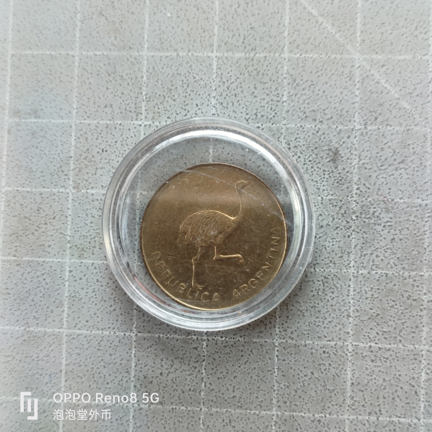 泡泡堂微拍第七幕，零佣金，零押金，满二十元包邮 阿根廷驼鸟90度背逆错版