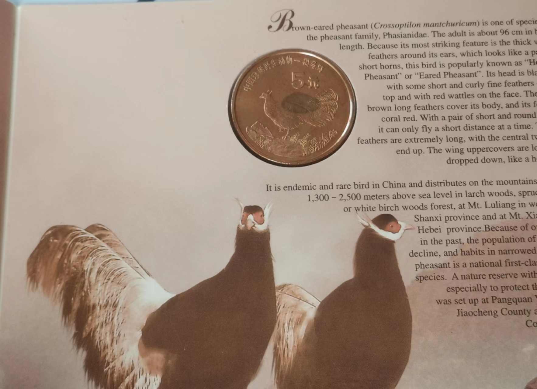 瓶子🏺第62期拍卖会 10枚野生动物5纪念铜币原封