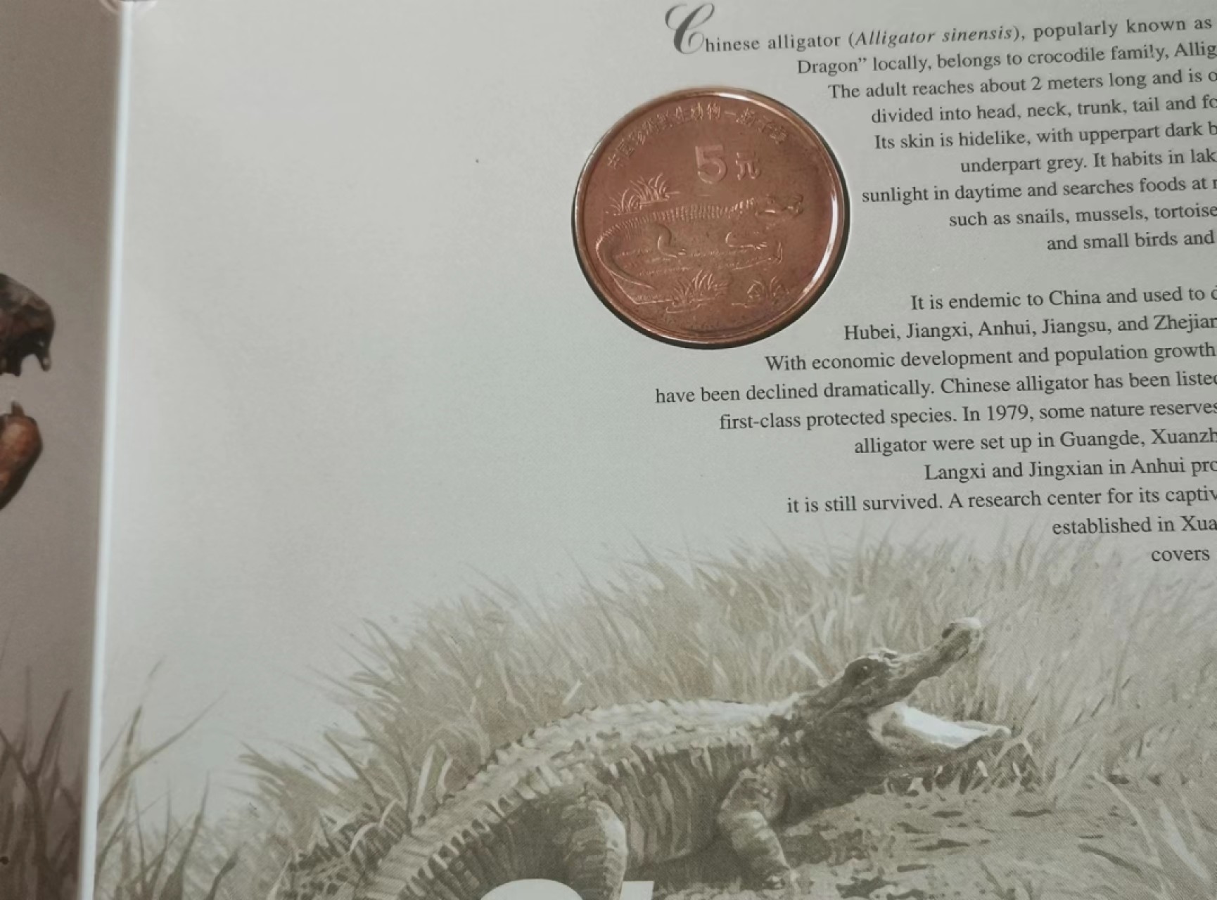 瓶子🏺第62期拍卖会 10枚野生动物5纪念铜币原封