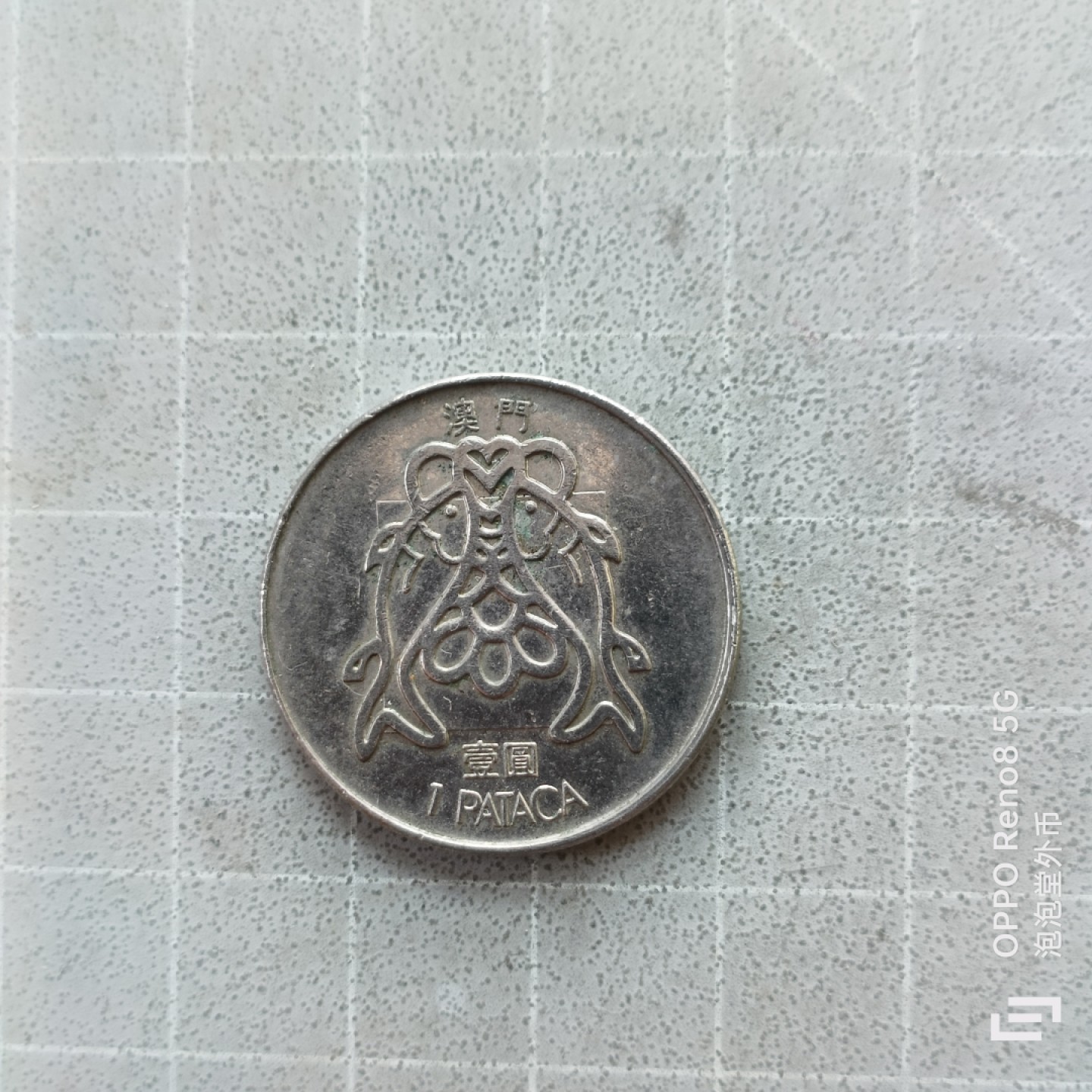 泡泡堂微拍第七幕，零佣金，零押金，满二十元包邮 澳门鱼一元