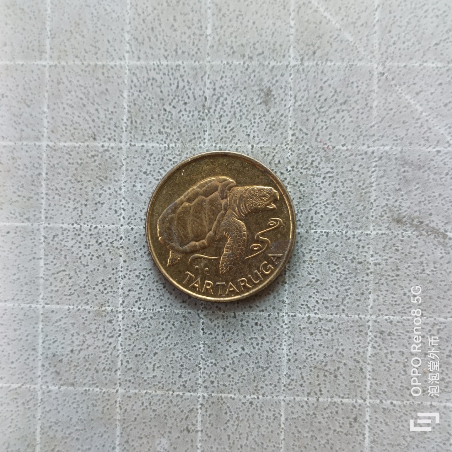 泡泡堂微拍第七幕，零佣金，零押金，满二十元包邮 弗得角一埃斯库多