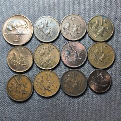 第二十四期 十月第5拍 - 10.5.2南非铜币