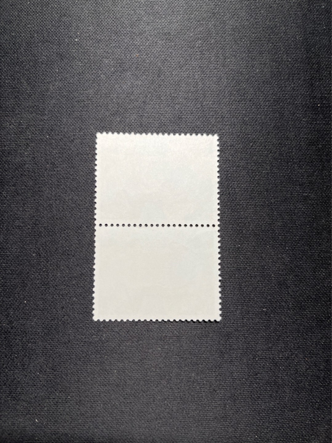 洪涛臻品 精选邮票限时拍卖第六十期 文17  10分  2连一组，版撕票，几乎全品，喜欢不要错过！《ASG评级处于初级阶段，注意建仓便宜的版撕货，未来市场前景不可估量！！！！》