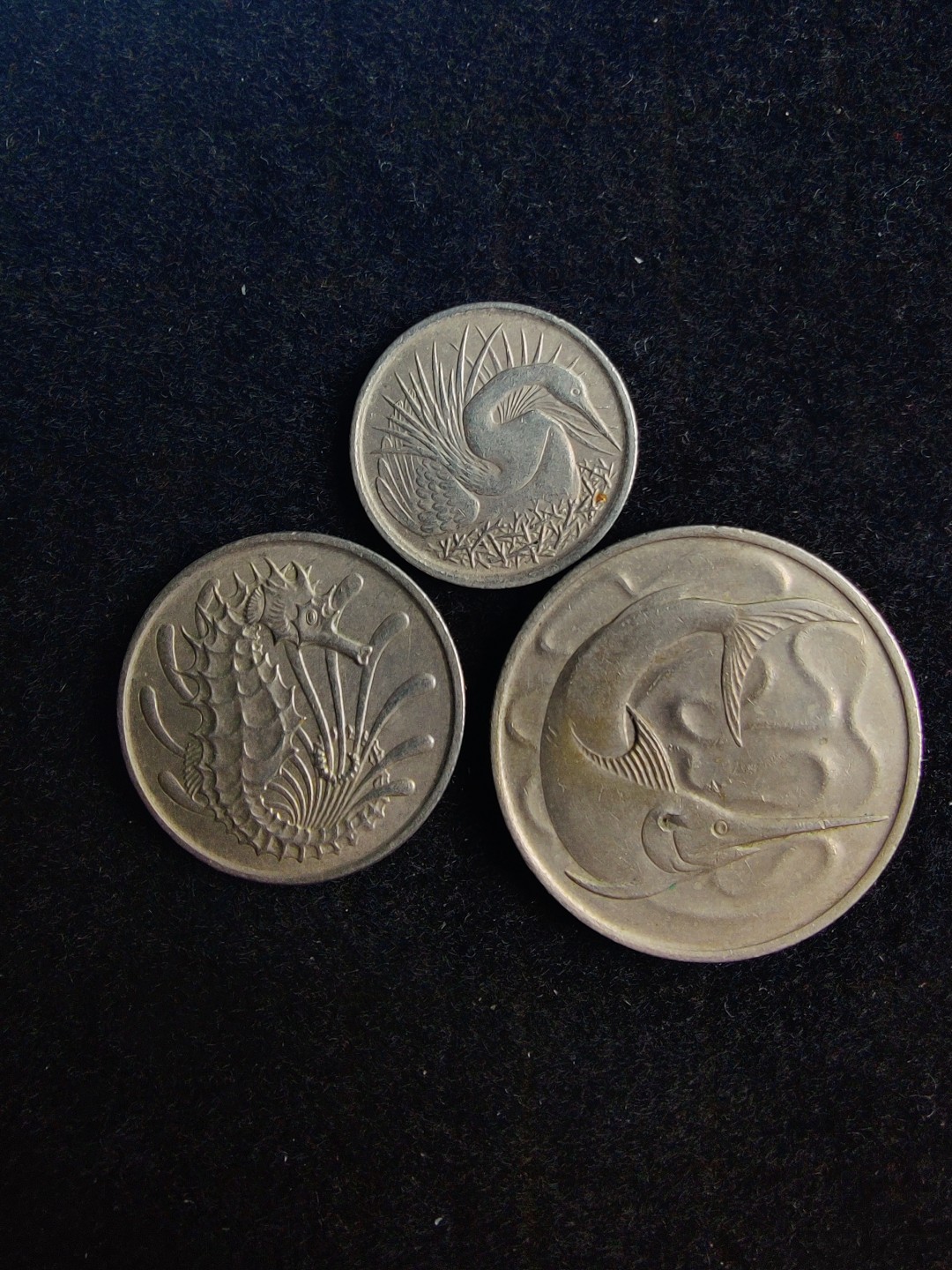 ♥一只鱼（世界钱币第六期） 新加坡套币