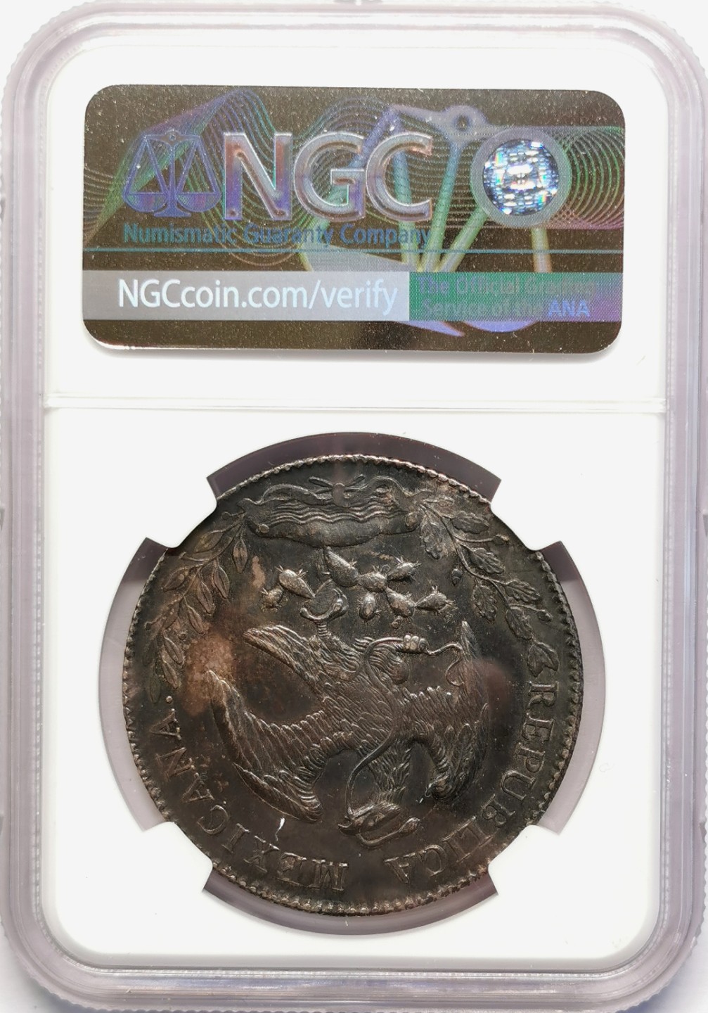 凡希社世界钱币微拍第二百十六期 1896ZS墨西哥花边鹰洋NGC-UNCD黑彩实物漂亮！