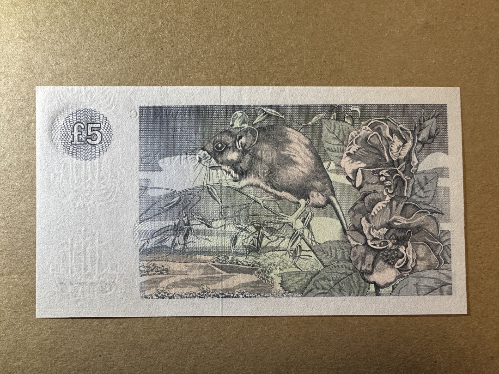 《张总收藏》77期——欧洲精品&女王钞 苏格兰5镑 UNC 克莱斯戴尔银行 1989年PLC大尺寸版本