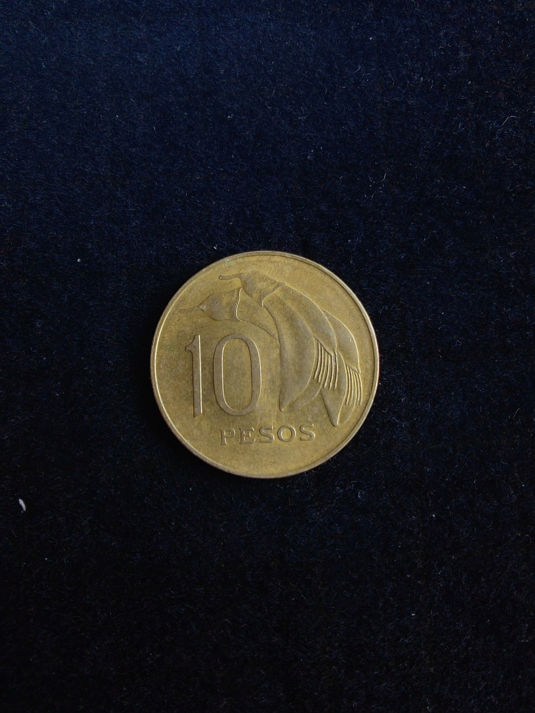 ♥一只鱼（世界钱币第六期） 乌拉圭10比索