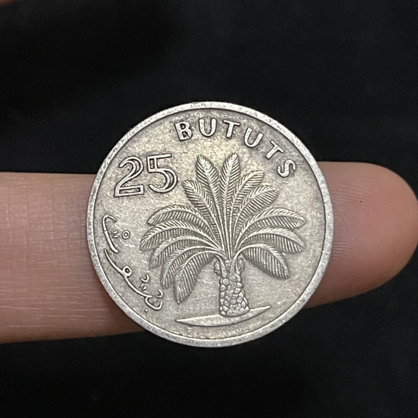 外国硬币0元起拍（13）22号所有订单统一发货 冈比亚硬币1971年25布图