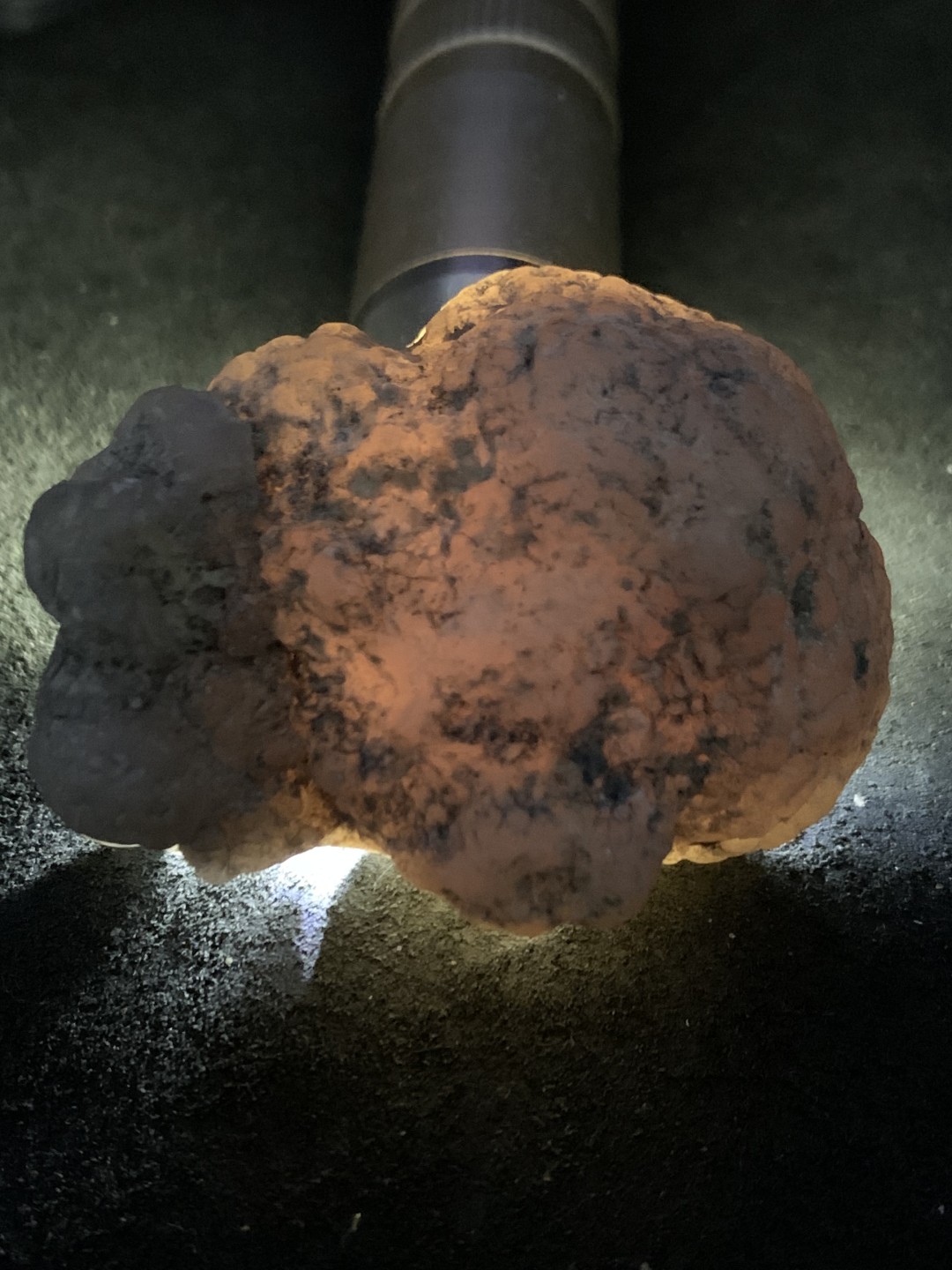 精美天然新疆哈密龟裂纹高玉化蛋白玉原石一块，