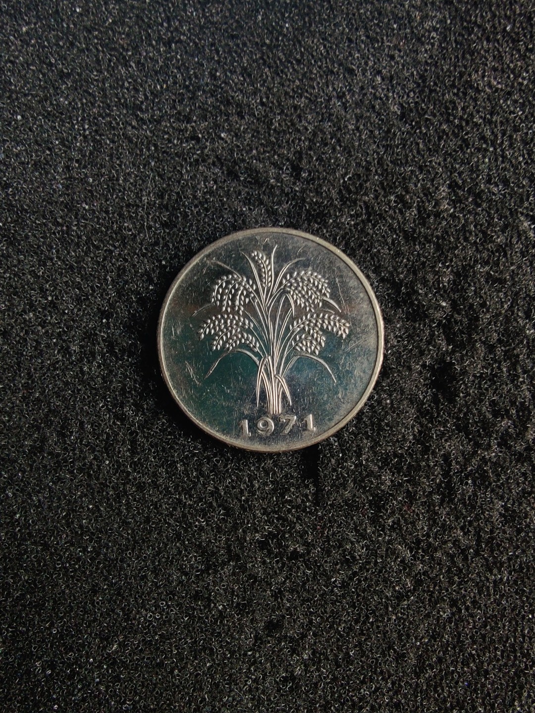 ♥一只鱼（世界钱币第六期） 越南1盾