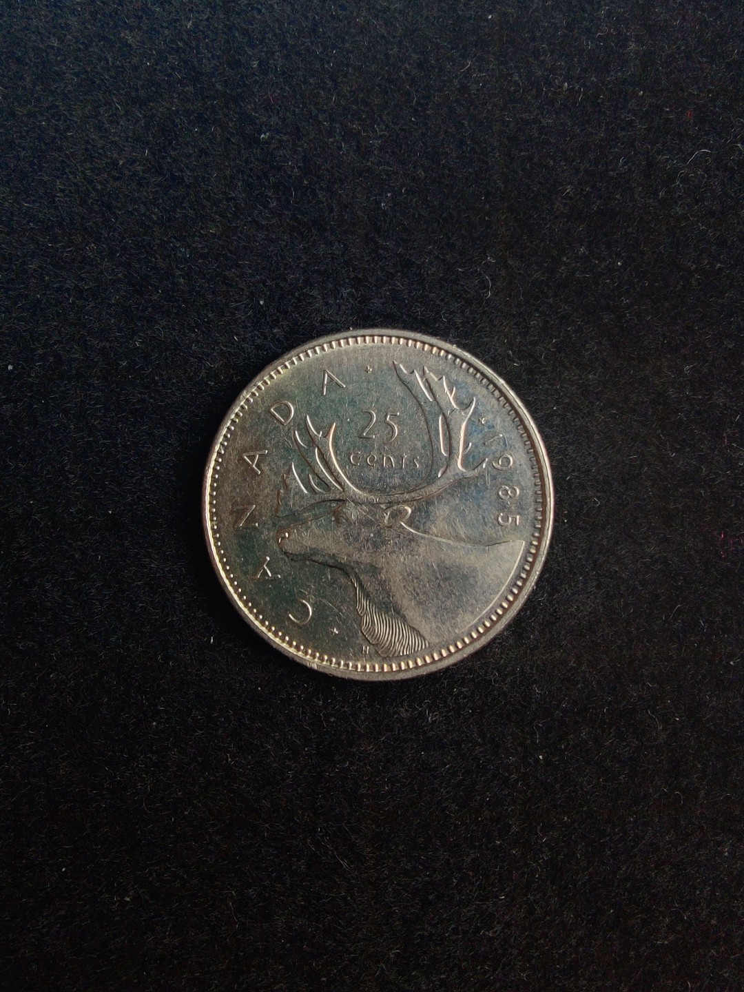 ♥一只鱼（世界钱币第六期） 加拿大25分