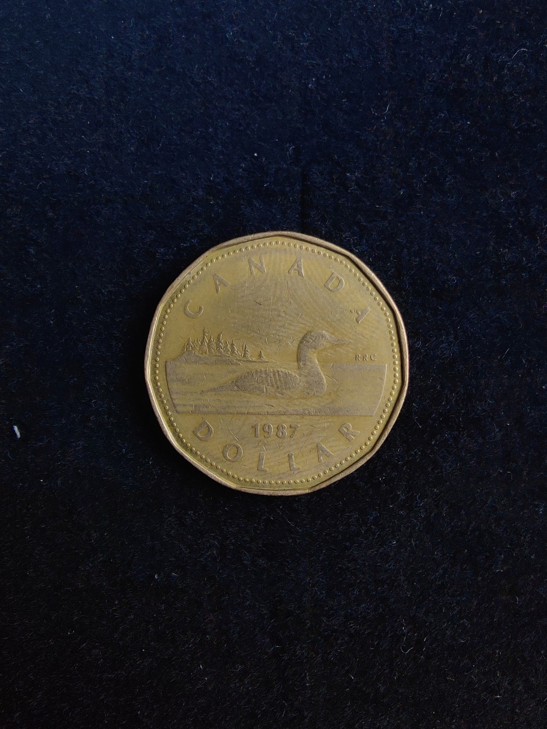 ♥一只鱼（世界钱币第六期） 加拿大一元