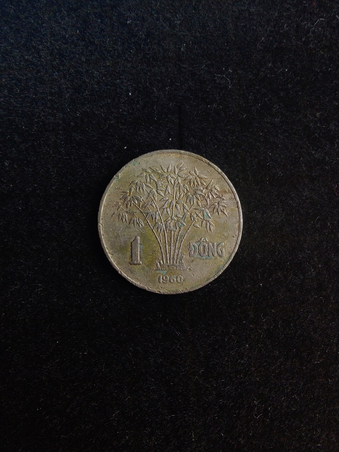 ♥一只鱼（世界钱币第六期） 越南1盾