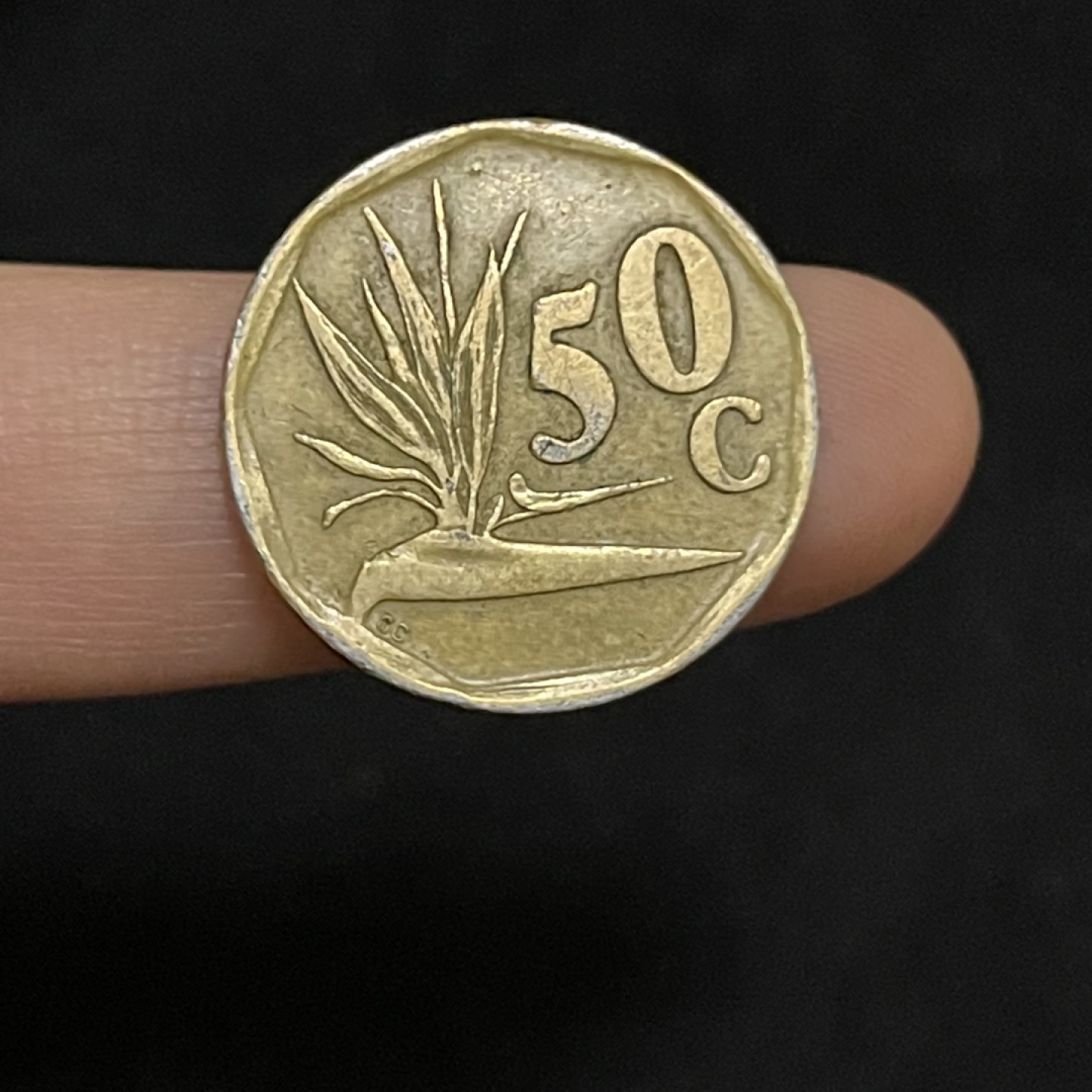 外国硬币0元起拍（13）22号所有订单统一发货 南非50分铜币