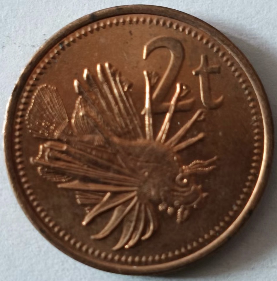 泡泡堂第125期  世界硬币专场（无押金，无佣金，捡漏，全场20包邮，偏远地区除外） 新几内亚2t