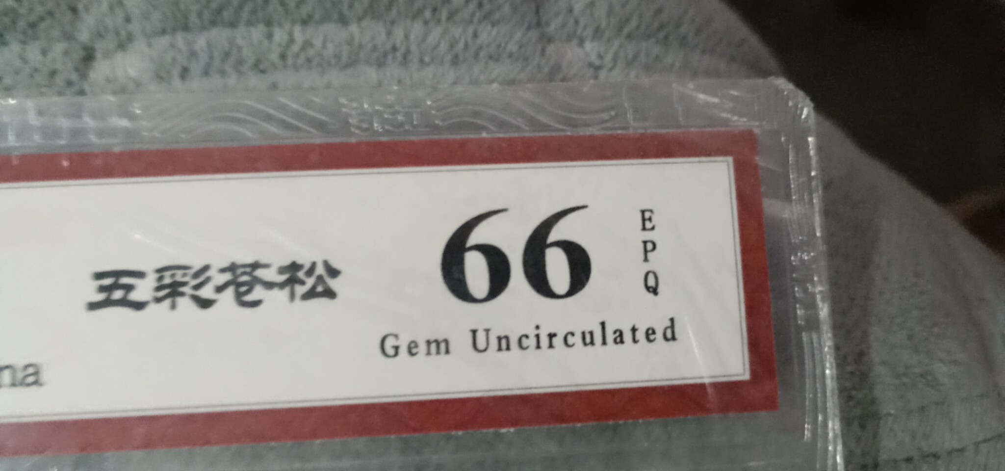 小英开心拍第614期 805五彩苍松一张，天印评级权威认证