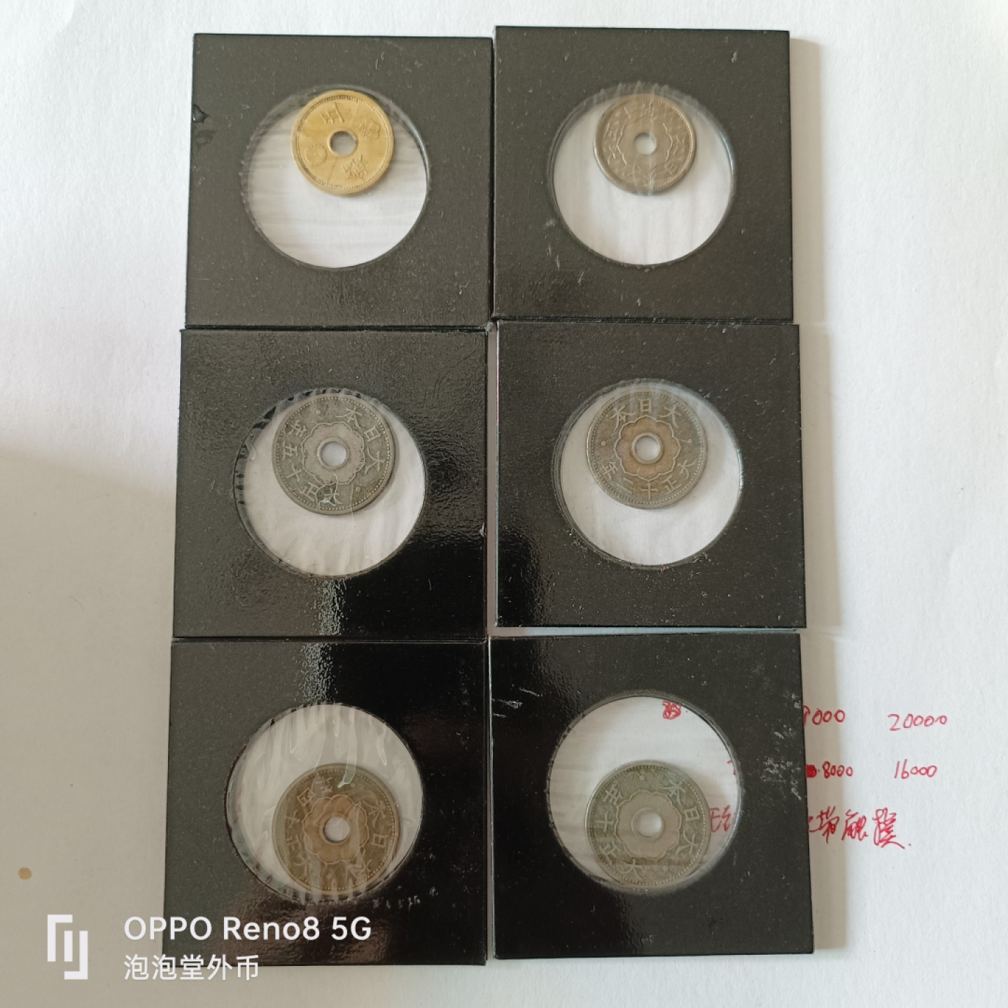 泡泡堂微拍第九幕，零佣金，零押金，满二十元包邮 日本不同年夹子六个