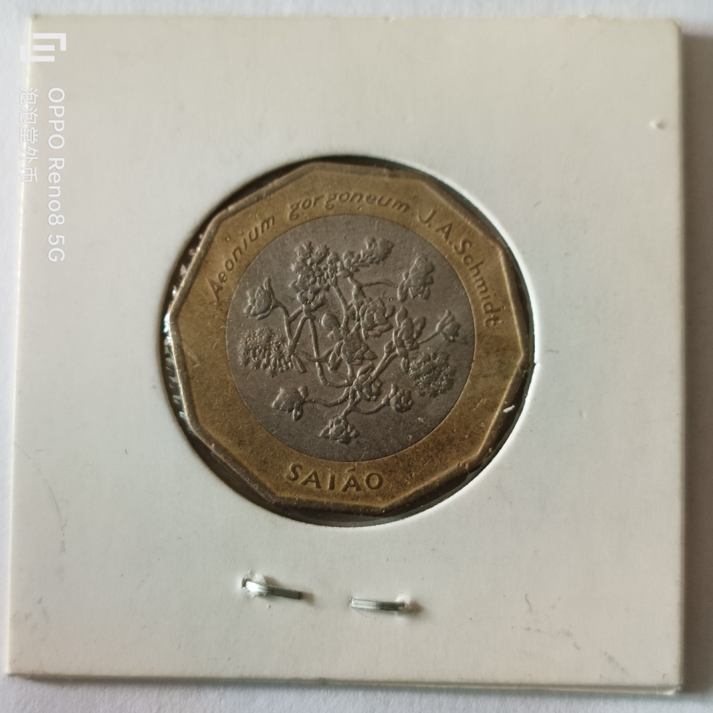 泡泡堂微拍第九幕，零佣金，零押金，满二十元包邮 好品佛得角100埃双色异形币