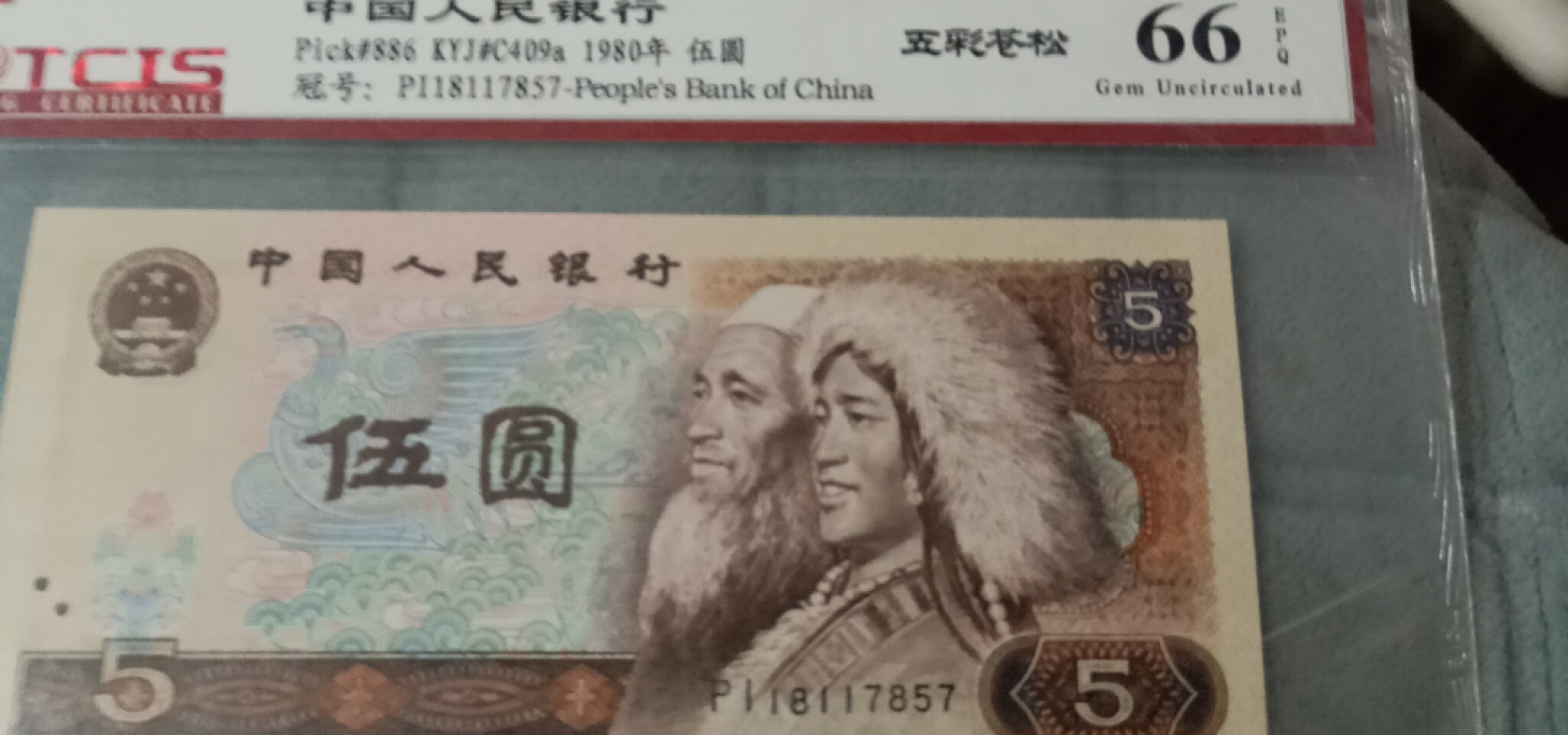 小英开心拍第614期 805五彩苍松一张，天印评级权威认证