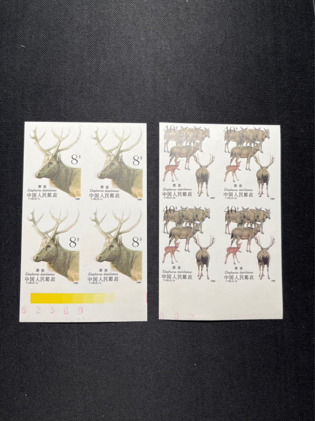 洪涛臻品 精选邮票限时拍卖第六十一期 T132无齿麋鹿新全    数字➕色标方连一组 ，紫光灯下微瑕，边纸非常轻微不平整，别无毛病，精品版货  精工细裁 ，四角白尖， 面艳背白，全程带硅胶手套操作，喜欢的老板不要错过