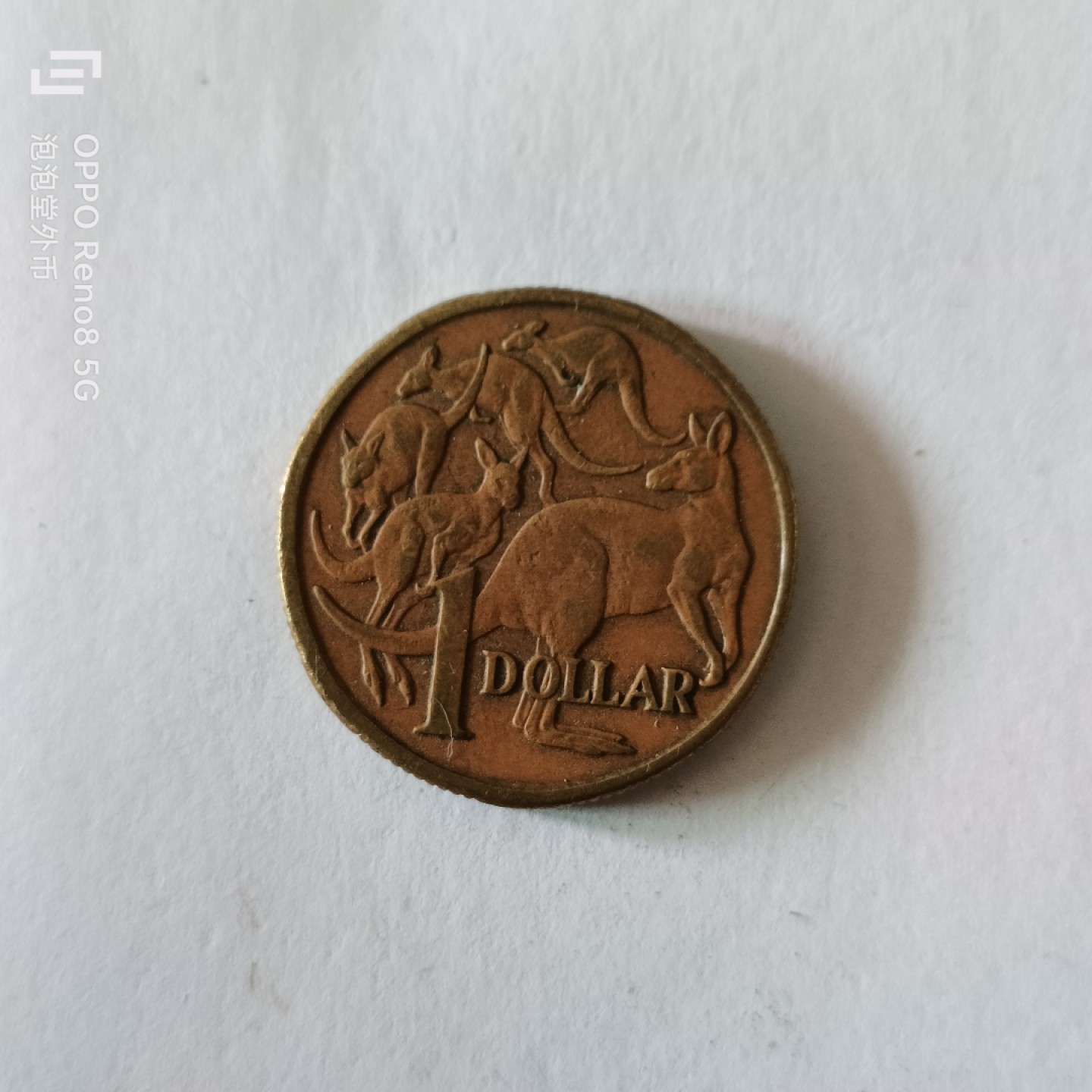 泡泡堂微拍第九幕，零佣金，零押金，满二十元包邮 澳州袋鼠一刀