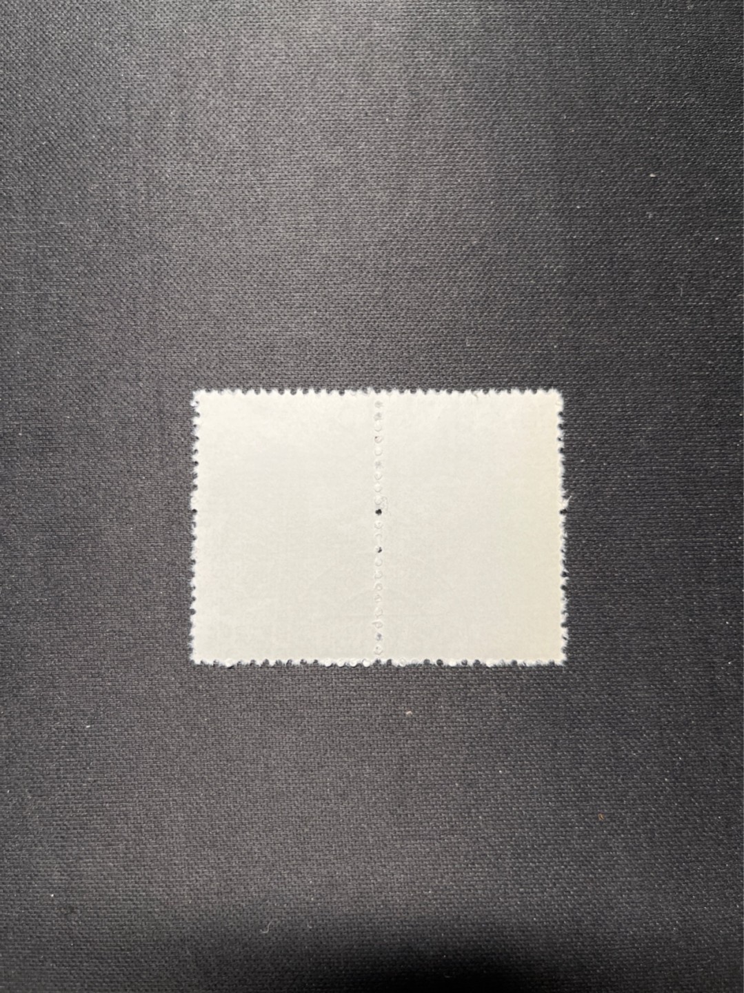 洪涛臻品 精选邮票限时拍卖第六十二期 特56蝴蝶盖销  20-15 全品  2连一组★中间全地名日期戳★版撕全品嘎嘎绝，钢戳，收藏首选，面艳胶白，六珍之一，非常受欢迎的品种，新票价格高，盖销全品不要错过，完美品相，低价拿货的最佳时机 