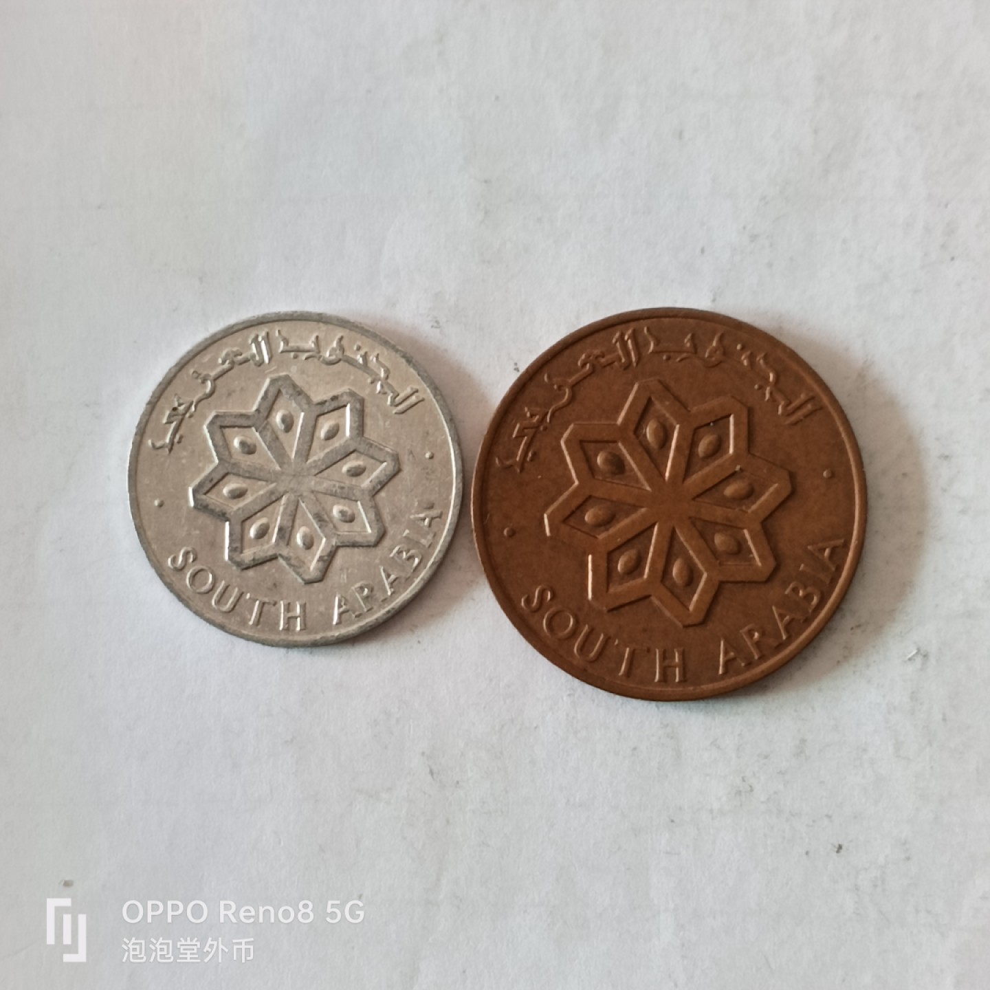 泡泡堂微拍第十幕，零佣金，零押金，满二十元包邮 少见南阿拉伯一对