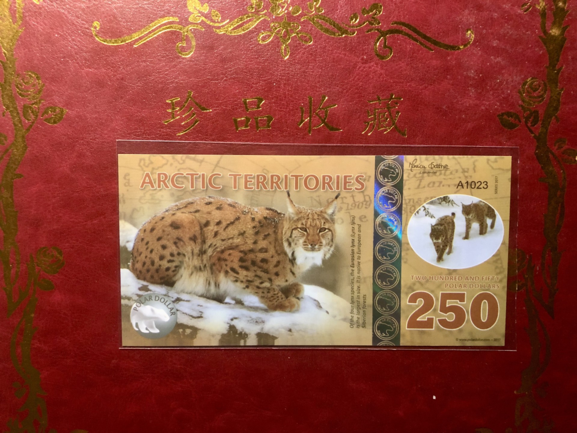 北极狼藏苑社(30)港澳台，邻国钞.裸票 94055北极250元塑料钞2012年版 ·精美商业纪念钞