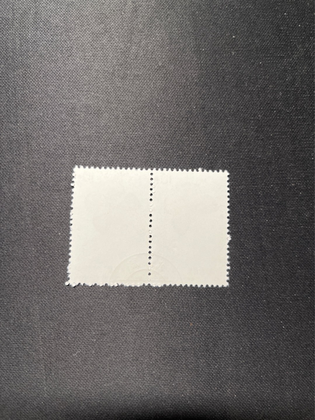 洪涛臻品 精选邮票限时拍卖第六十二期 特56蝴蝶盖销  20-11 2枚 ，下边中间戳，版撕全品嘎嘎绝，钢戳，面艳胶白，六珍之一，非常受欢迎的品种，新票价格高，盖销全品不要错过