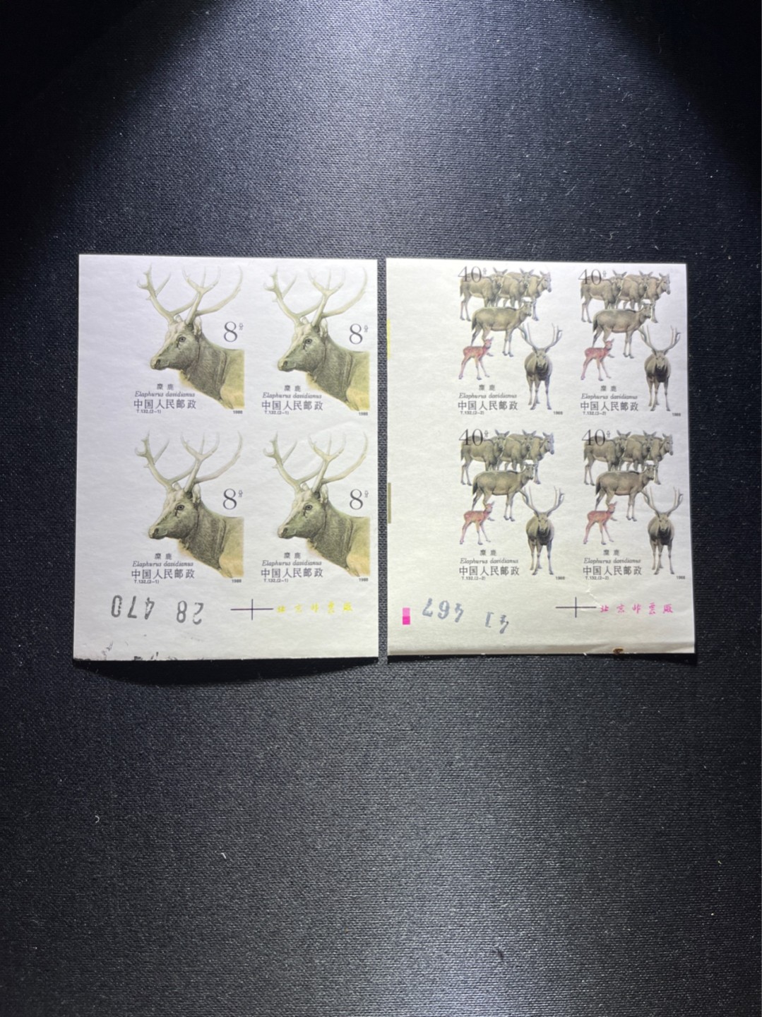 洪涛臻品 精选邮票限时拍卖第六十二期 T132无齿麋鹿新全    数字➕厂名4方连一组，软折痕微污上品，精品版货  精工细裁 ，全程带硅胶手套操作，喜欢的老板不要错过