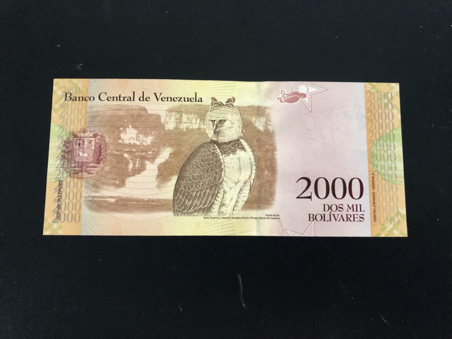 北极狼藏苑社(30)港澳台，邻国钞.裸票 94033-全新UNC 委内瑞拉2000玻利瓦尔·彩虹币