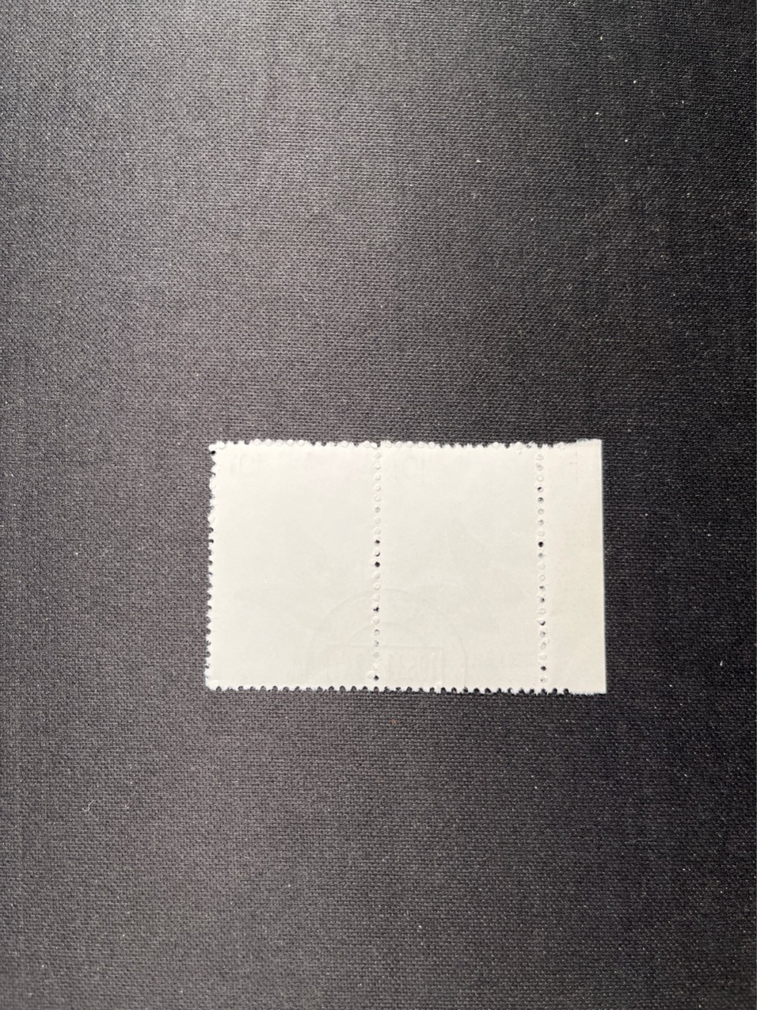 洪涛臻品 精选邮票限时拍卖第六十二期 特56蝴蝶盖销  20-12  全品 数字边2连一组★中间全地名日期戳★版撕全品嘎嘎绝★中心全钢戳，非常漂亮，老纪特三俗稀缺货，收藏首选★面艳胶白，六珍之一，非常受欢迎的品种，新票价格高，盖销全品不要错过 