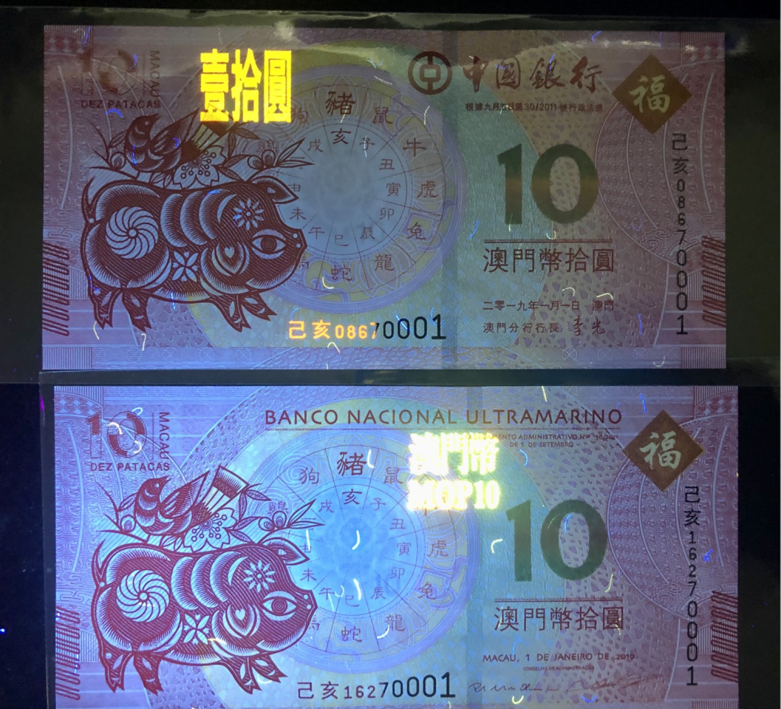 北极狼藏苑社(30)港澳台，邻国钞.裸票 9606-中国银行·大西洋银行·澳门生肖拾元·猪