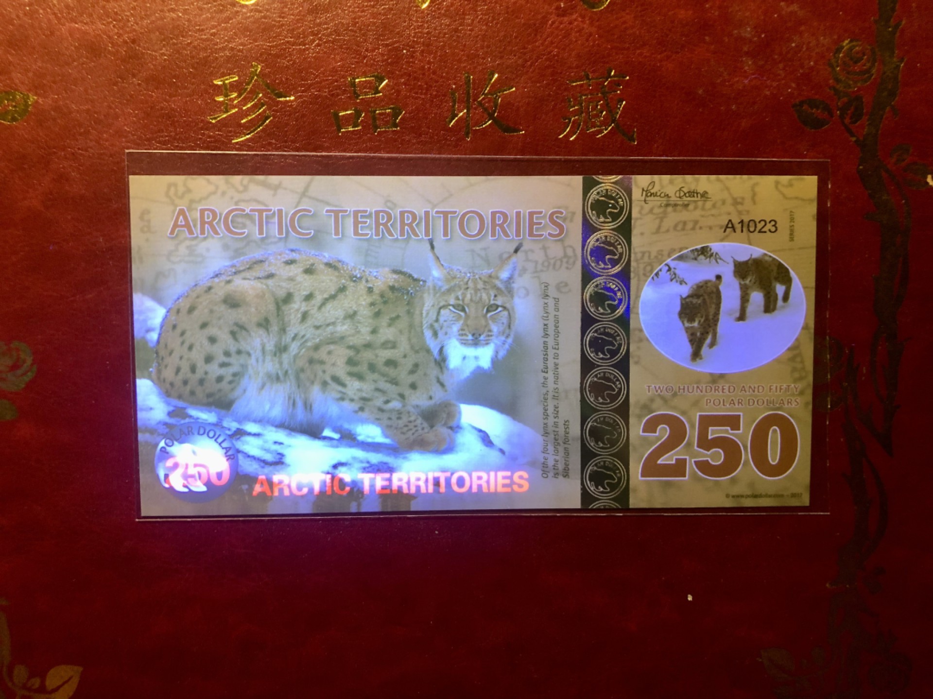 北极狼藏苑社(30)港澳台，邻国钞.裸票 94055北极250元塑料钞2012年版 ·精美商业纪念钞