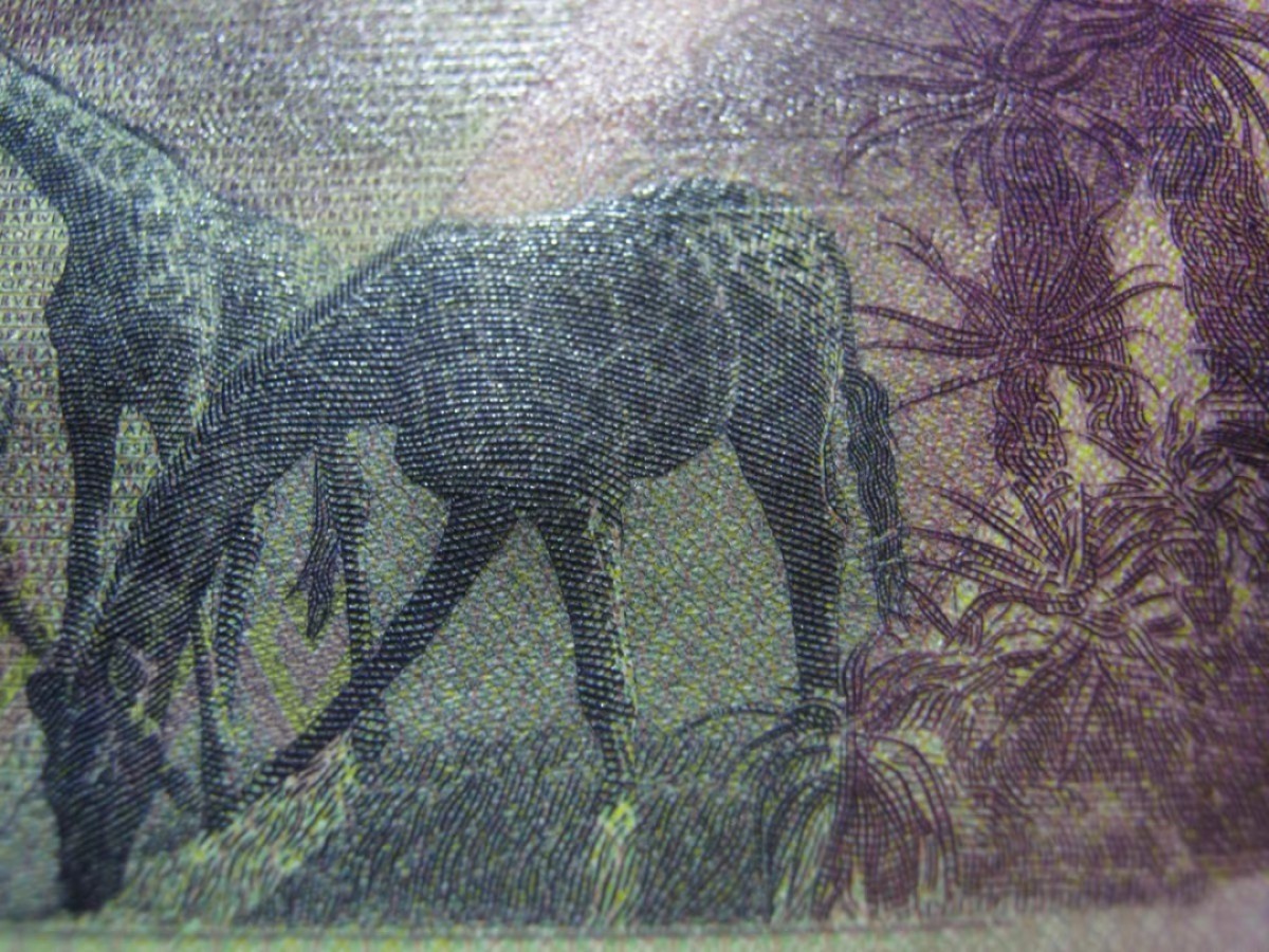 北极狼藏苑社(30)港澳台，邻国钞.裸票 94006-非洲 2019年 津巴布韦5元纸币 半塑料钞 