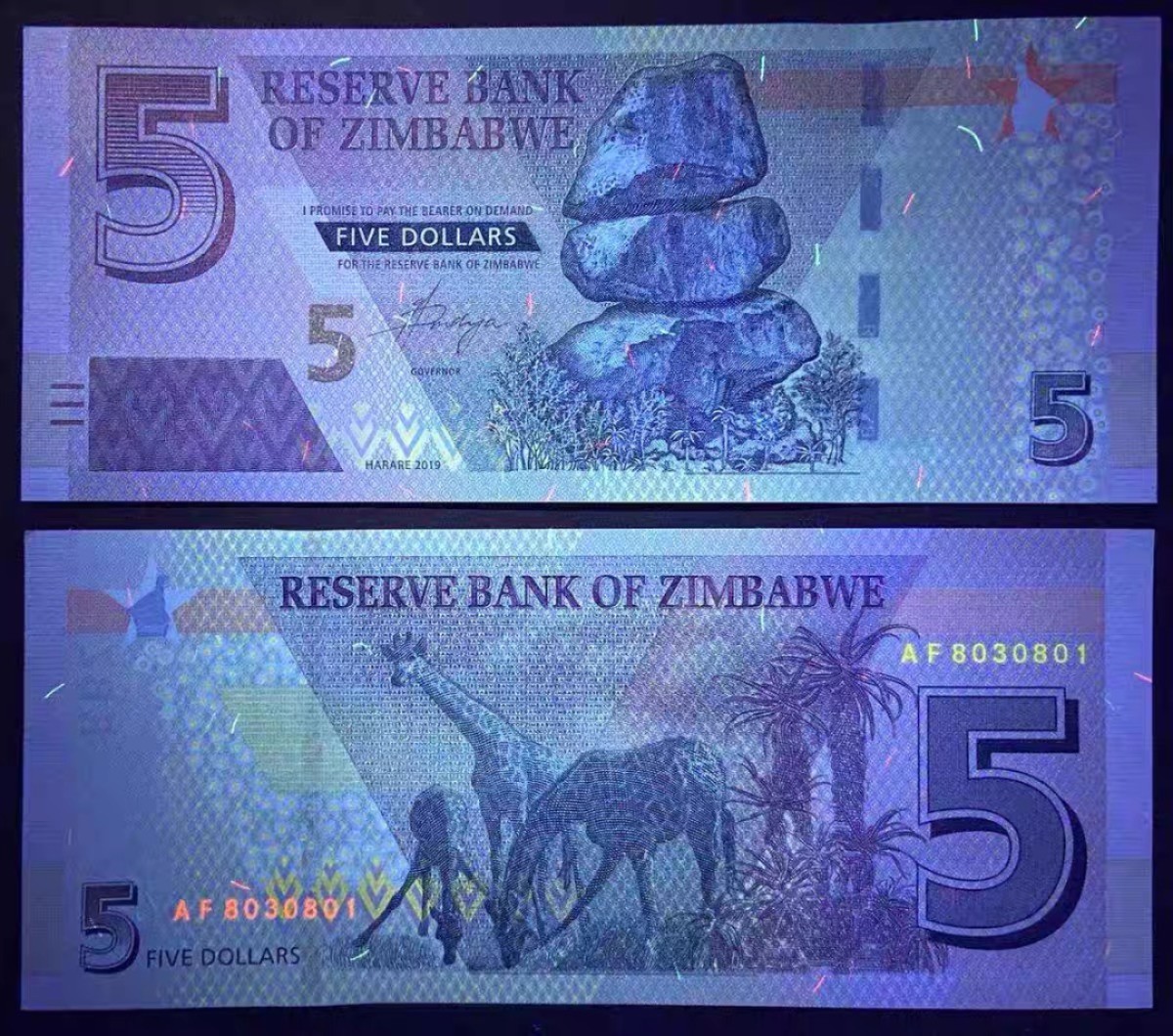 北极狼藏苑社(30)港澳台，邻国钞.裸票 94006-非洲 2019年 津巴布韦5元纸币 半塑料钞 