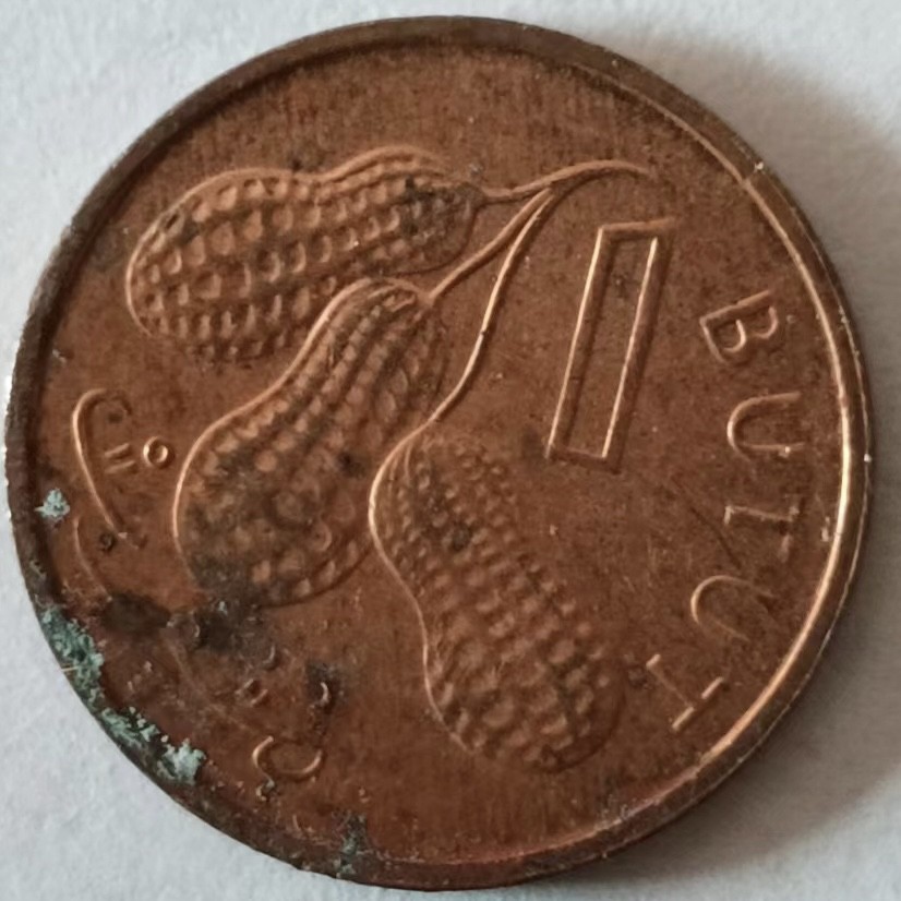 泡泡堂第126期  世界硬币专场（无押金，无佣金，捡漏，全场20包邮，偏远地区除外） 冈比亚一布图