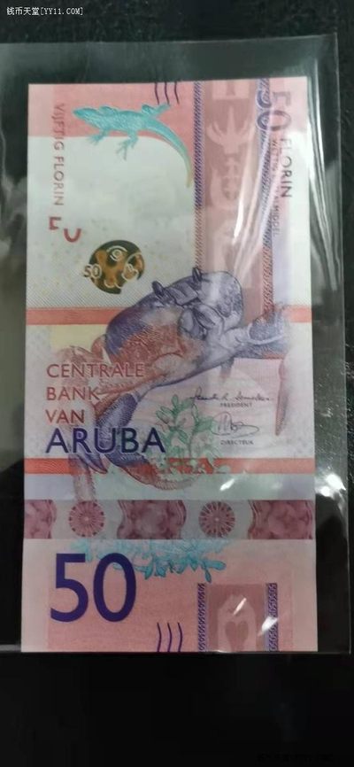 阿鲁巴50弗罗林 2019年 A冠 无47 首冠 美洲纸币 实物图 全新UNC - 阿鲁巴50弗罗林 2019年 A冠 无47 首冠 美洲纸币 实物图 全新UNC