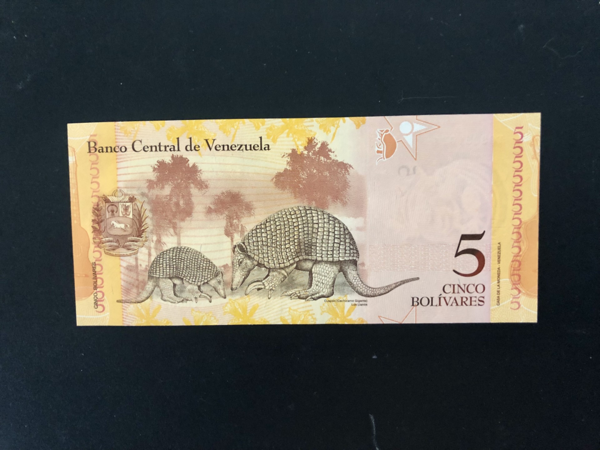 北极狼藏苑社(30)港澳台，邻国钞.裸票 94035-全新UNC 委内瑞拉5玻利瓦尔·彩虹币