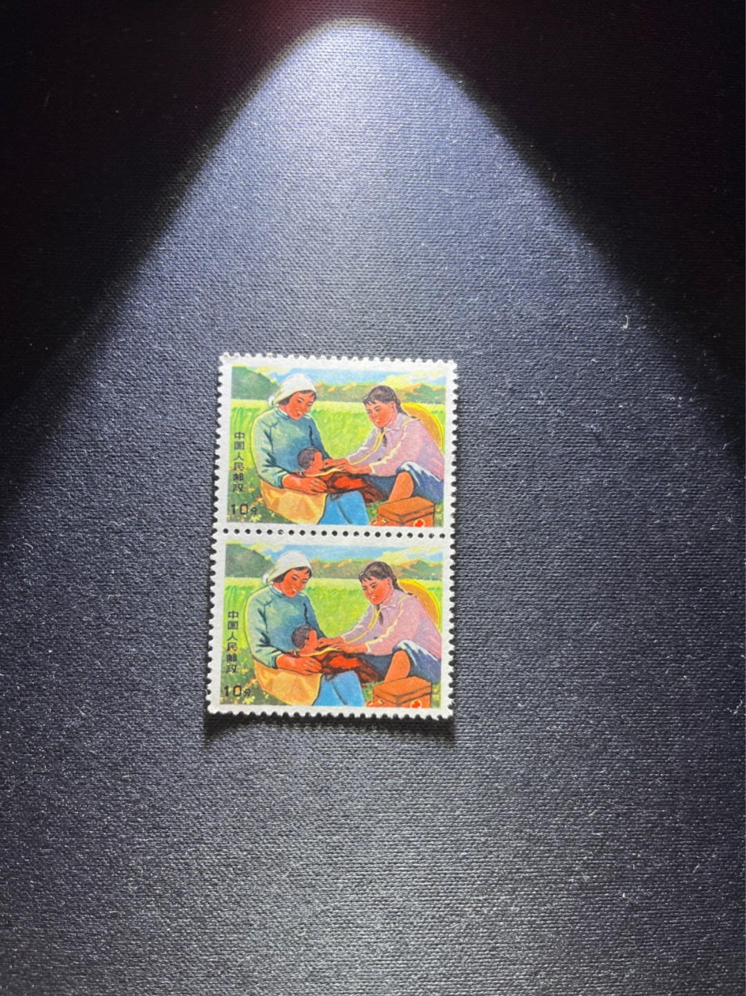 洪涛臻品 精选邮票限时拍卖第六十三期 文17  10分  2连一组，版撕票，一枚几乎全品，一枚软折上品，喜欢不要错过！《ASG评级处于初级阶段，注意建仓便宜的版撕货，未来市场前景不可估量！！！！》