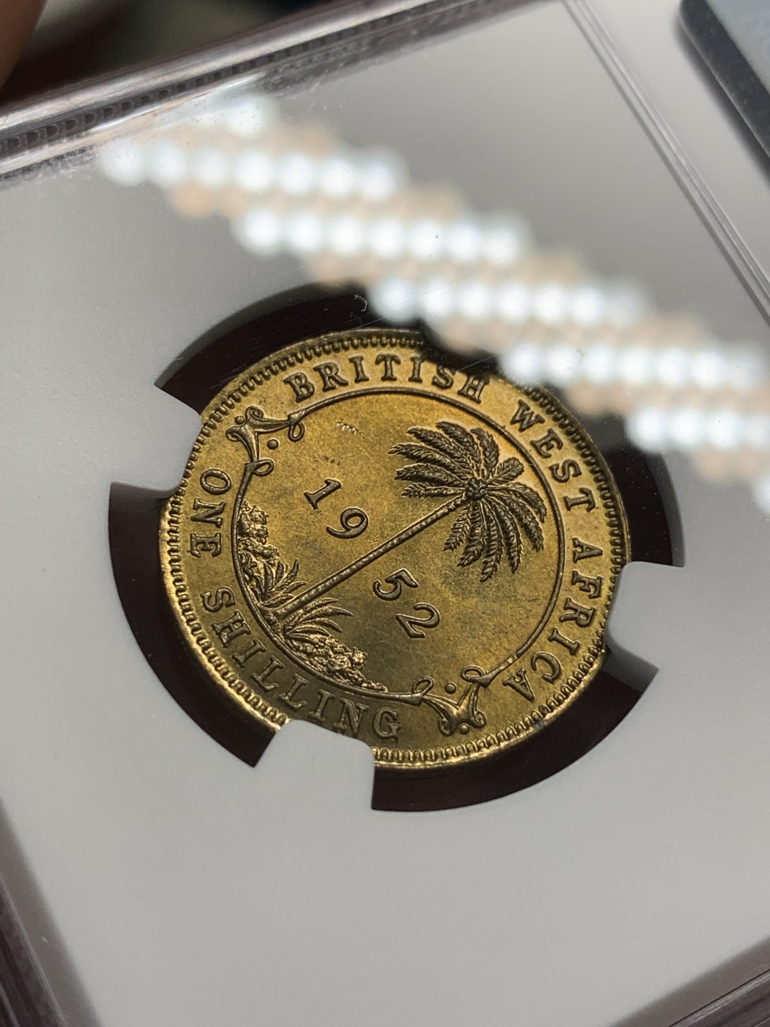 《竞宝斋》第108场-周日，周一 ，周四3场连拍（全场包邮） NGC-MS64 英属西非 1952年 乔六1先令黄铜币 铜光十足 转光强烈