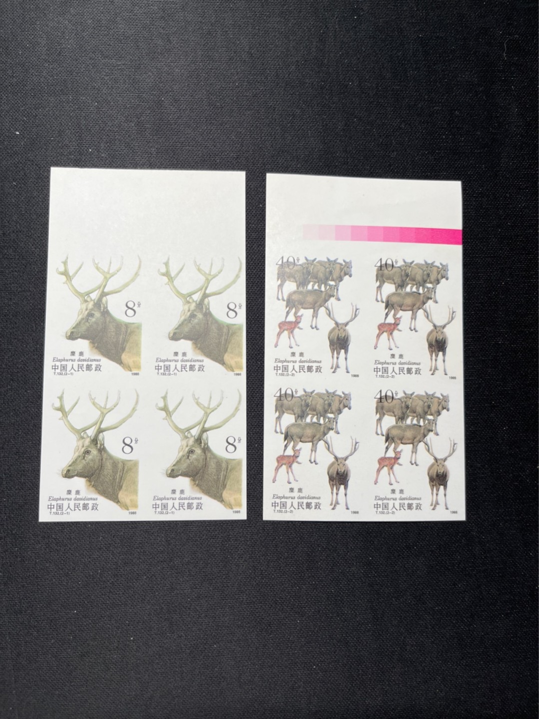 洪涛臻品 精选邮票限时拍卖第六十三期 T132无齿麋鹿新全    色标4方连一组，软折痕上品，精品版货  精工细裁 ，全程带硅胶手套操作，喜欢的老板不要错过