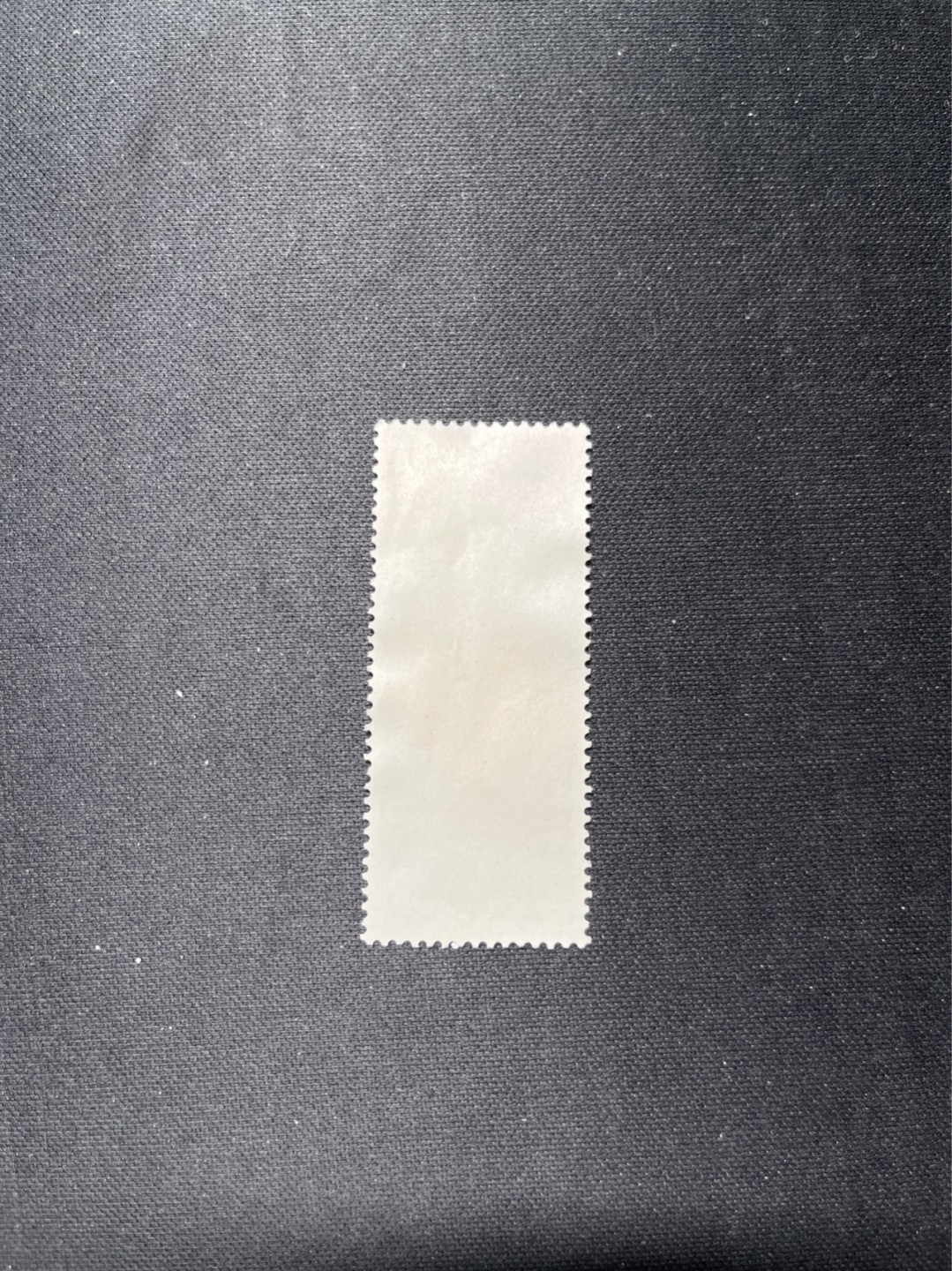 洪涛臻品 精选邮票限时拍卖第六十三期 纪105 越南 信销上品 无薄无裂 正面鲜艳齿孔全💝拍品实物见图2-3