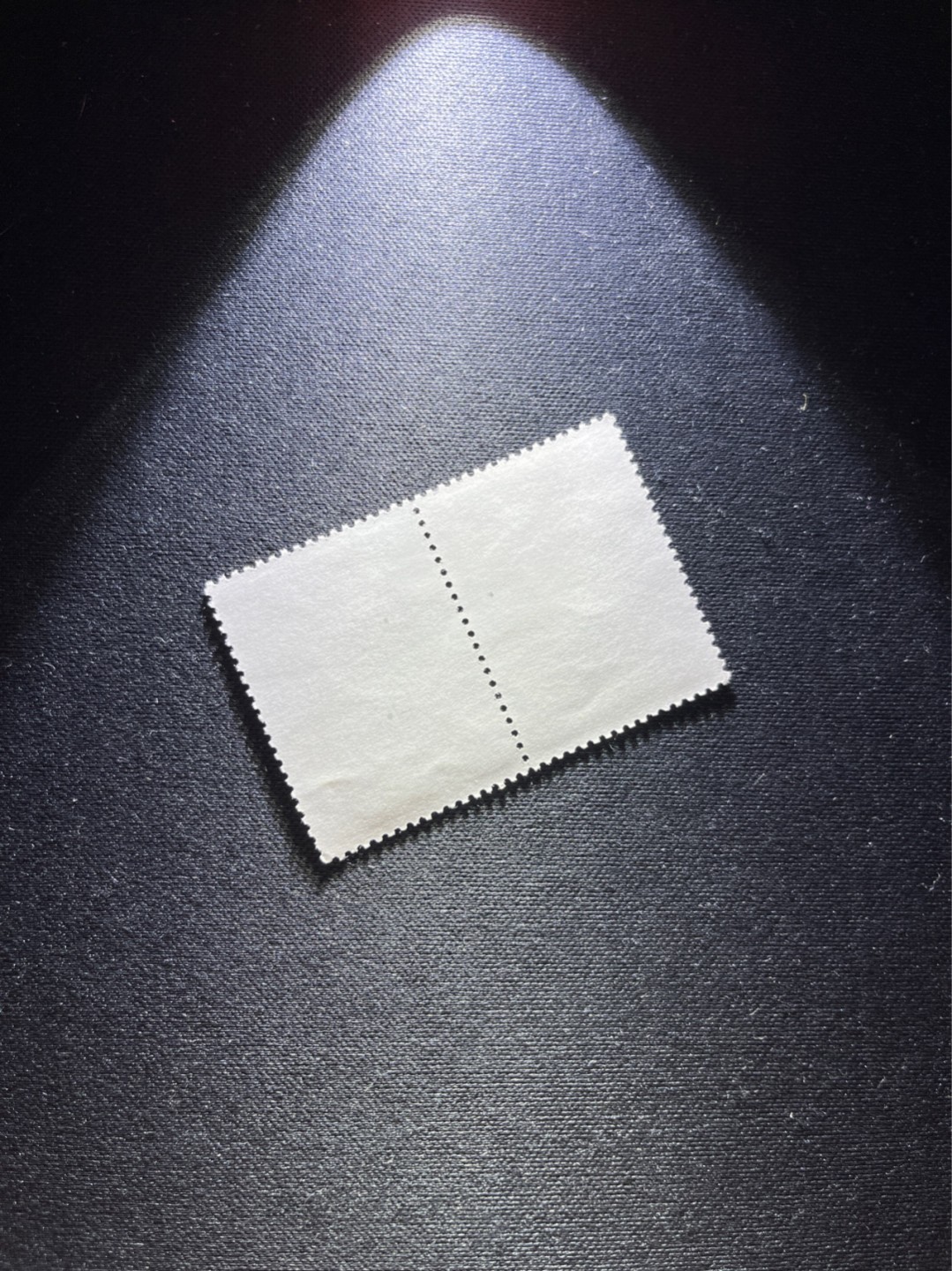 洪涛臻品 精选邮票限时拍卖第六十三期 文17  10分  2连一组，版撕票，一枚几乎全品，一枚软折上品，喜欢不要错过！《ASG评级处于初级阶段，注意建仓便宜的版撕货，未来市场前景不可估量！！！！》