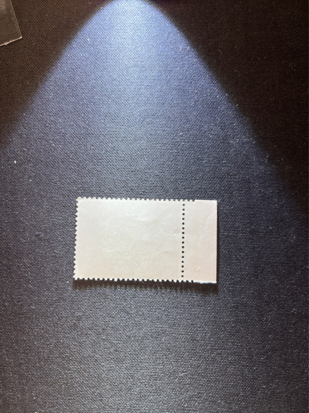 洪涛臻品 精选邮票限时拍卖第六十三期 文17  10分  数字➕色标一枚版撕票，软折上品见图，喜欢不要错过！《ASG评级处于初级阶段，注意建仓便宜的版撕货，未来市场前景不可估量！！！！》