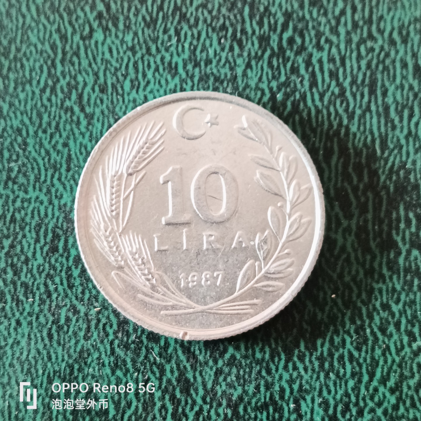 泡泡堂微拍第十二幕，零佣金，零押金，满二十元包邮 土耳其好品十里亚尔。