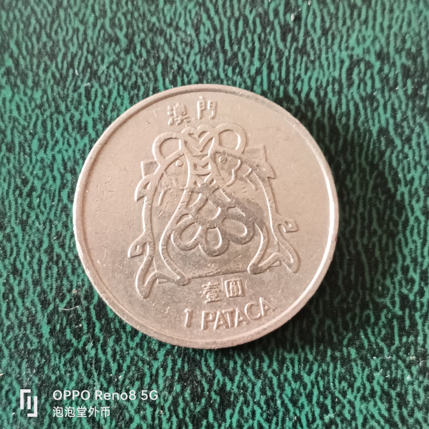 泡泡堂微拍第十二幕，零佣金，零押金，满二十元包邮 澳门鱼一元。